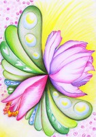 /album/fotogalerie/sila-zenyweb-velky-jpg/